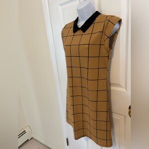 NWT Lush collared mini dress